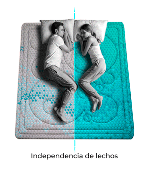 Independencia_de_lechos_1.jpg